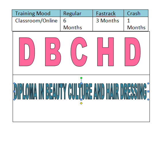 Course - Diploma in Computer Application - 6 Month