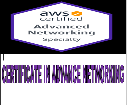 Course - Diploma in Computer Application - 6 Month